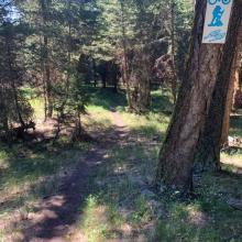 Trail