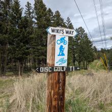 disc golf