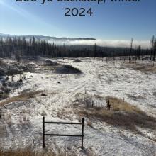 backstop coming soon 2024