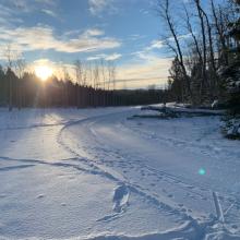 snowtracks dec 2020