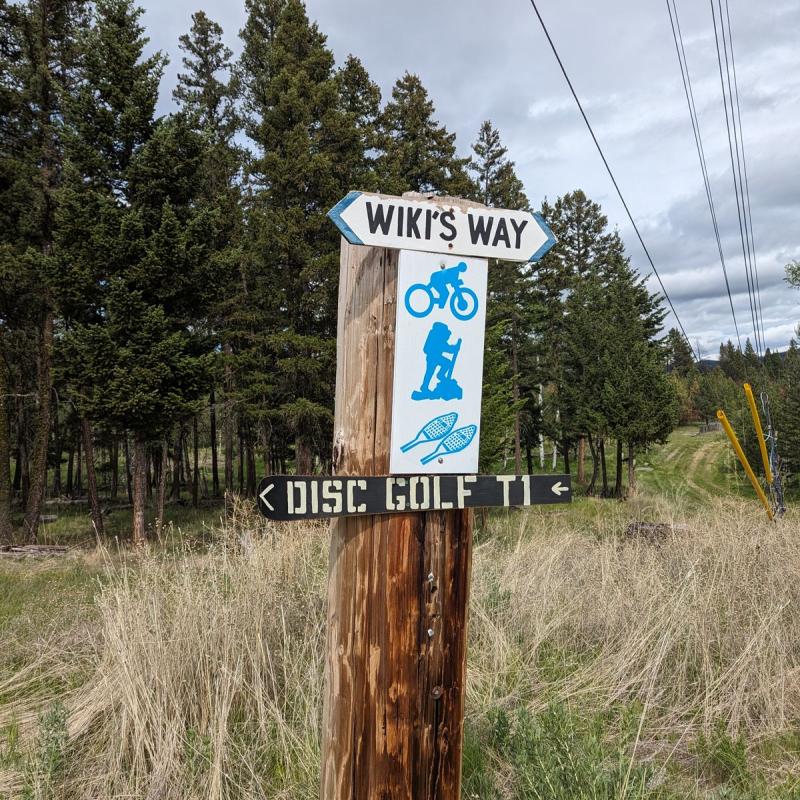 disc golf