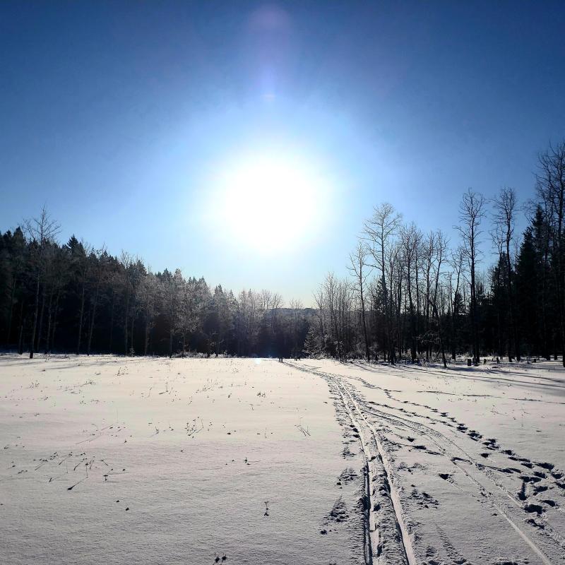 Lisa Photo - Jan 2020 