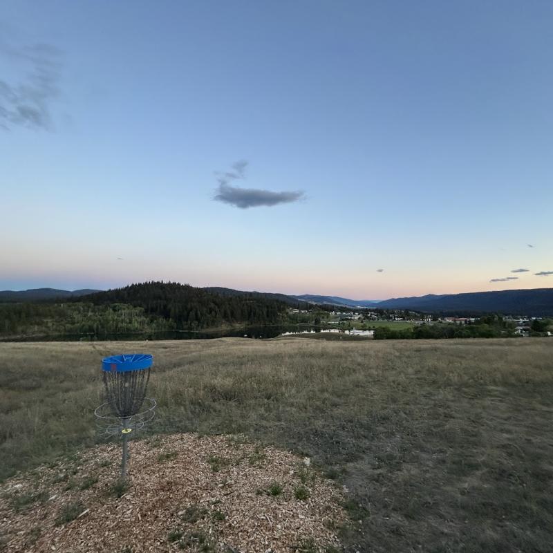 Sunnyside View