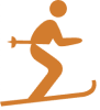 ski icon